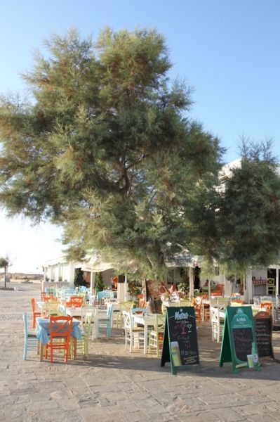 Restaurant under tree with nice colors