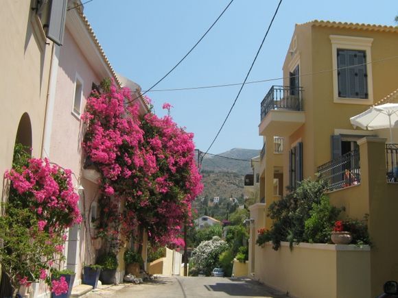 In the streets of Assos.