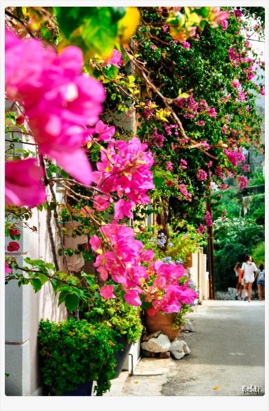 On the colourful streets of Assos 01