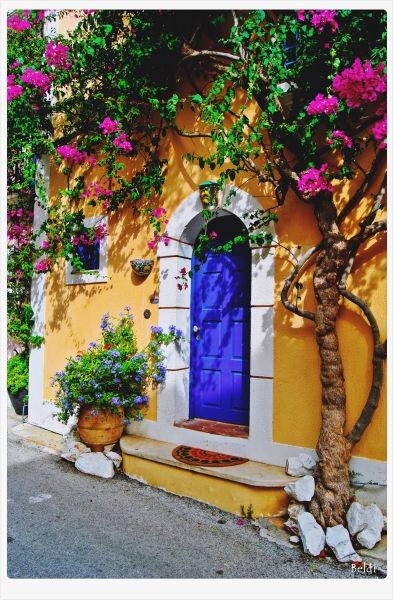 On the colourful streets of Assos 02