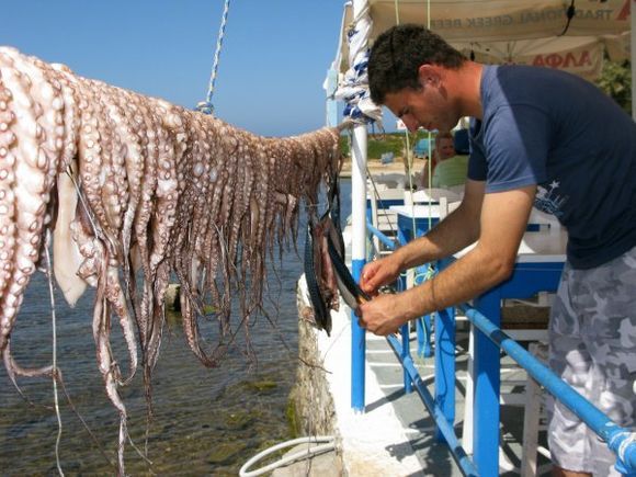 drying of fish in anntiparos