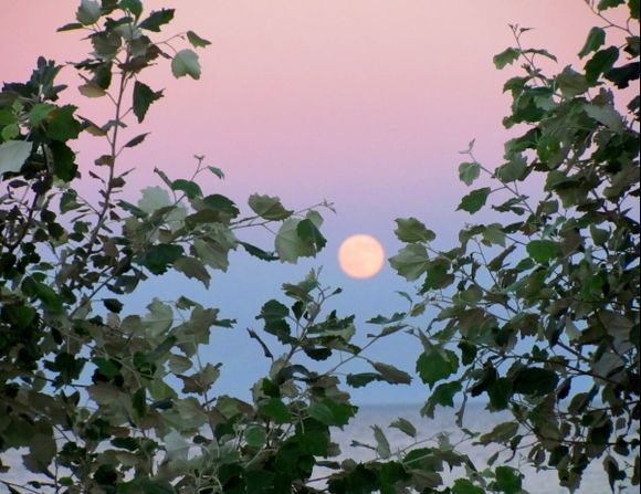 Full moon rising above the sea at sunset