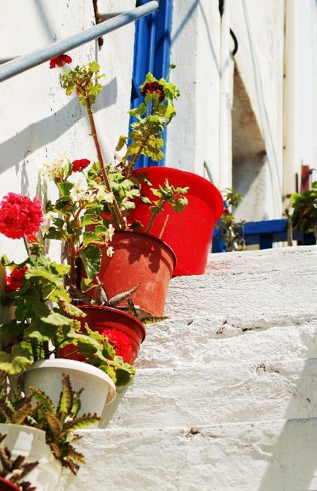 This is a beautiful image of how the Greeks decorate their steps to their houses. This taken on Naxos in Greece.