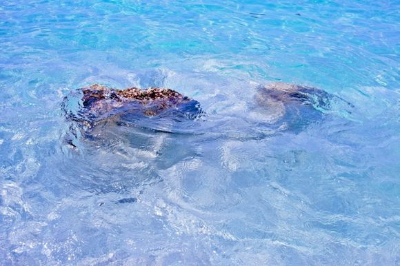 Lefkada : megali petra beach, rocks & water