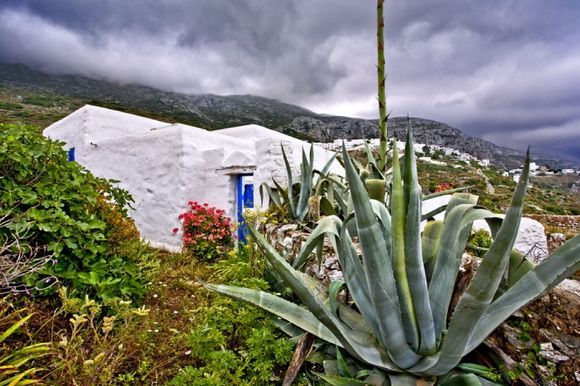 Amorgos, near Lagada plant and house in the mountain under the clouds