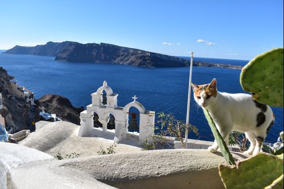 Oia, SantoriniOia, 