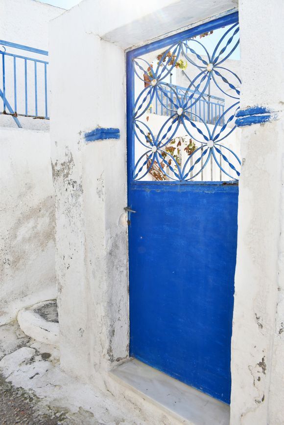 The blue flower door