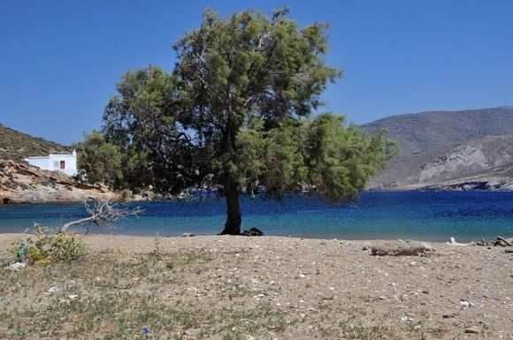 Panormos: beach of Aghia Thalassa