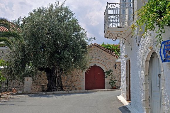 Gated yards in Leonidi