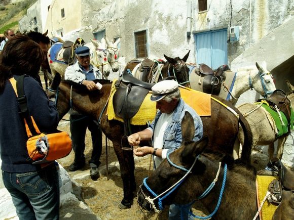 the only way to travel,up the hillside at Santorini/Fira