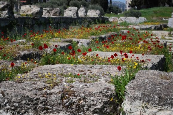 Kerameikos - Ruins and Poppies