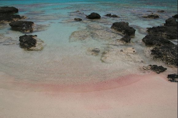 Pink Paradise
Elafonissi Beach - Creta