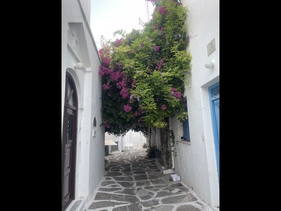 Paros