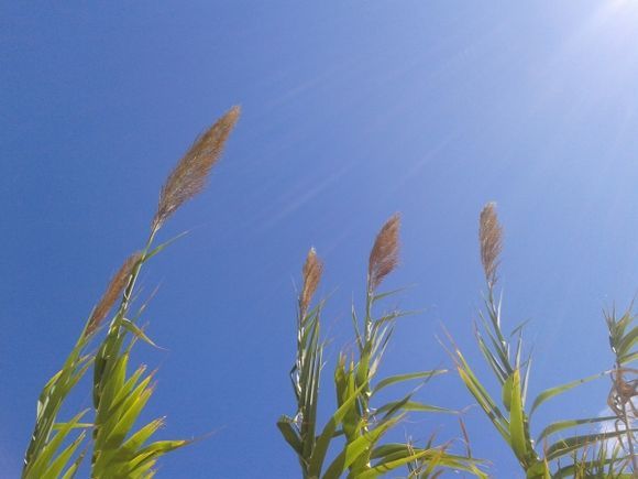 sunny and windy day