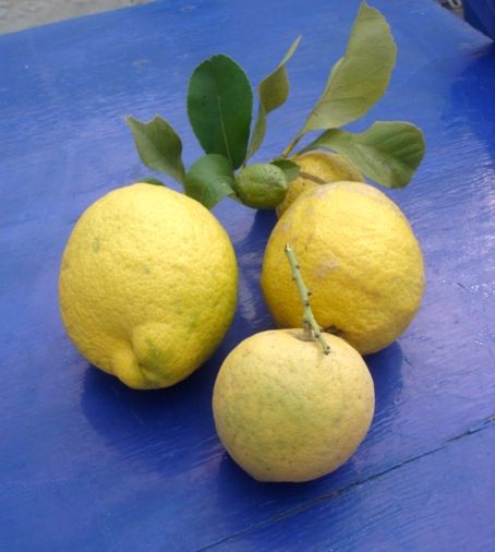 biological lemons greece