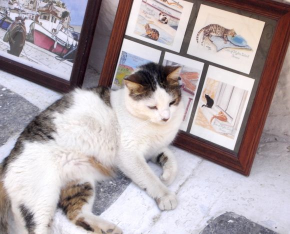 an Hydra cat in front of her paintings...