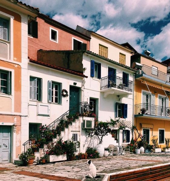 The cat and the colorful houses of Parga