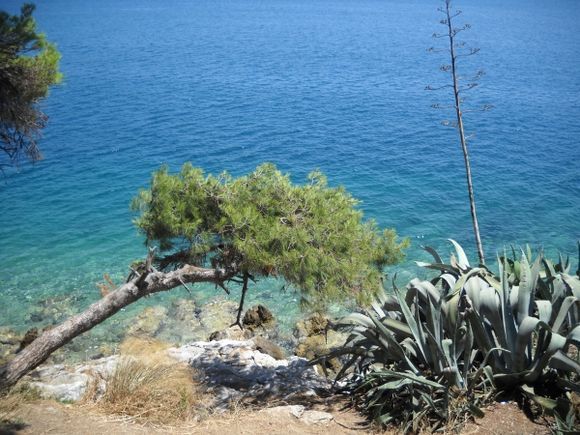 Skiathos, above the sea