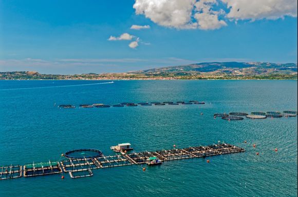 2018-09-21 - 13h.00 : Fish farms in Argostoli Bay, near Farsa.