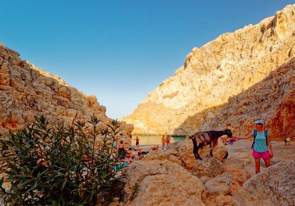 2022-09-30 Chania Akrotiri - Seïtan Limani 
Goats are not mistaken, more and more people on this little piece of paradise …
