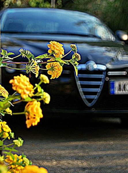 Crete, Car & Flowers