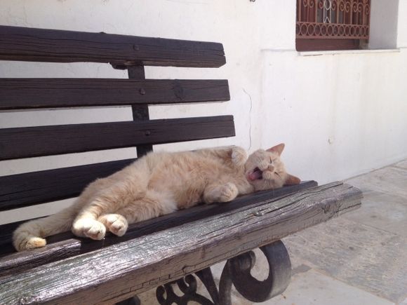 Midday nap on church square in Plaka, Milos.