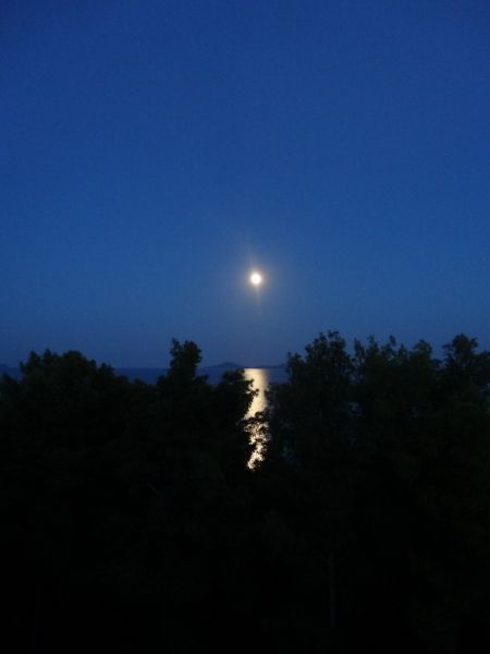 moon lit