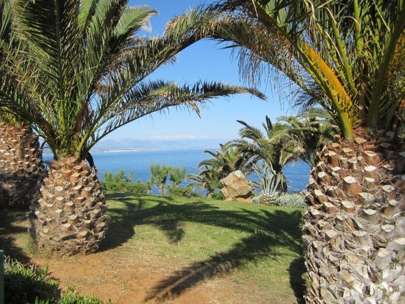 Sea Mountain sand Palm\'s Tree