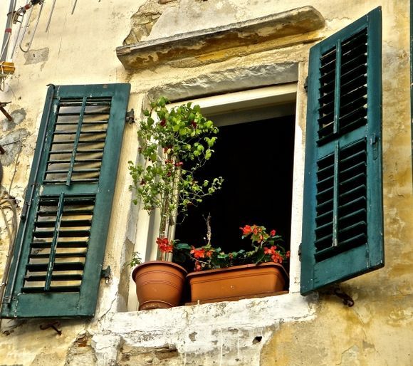 Window in the Old Town