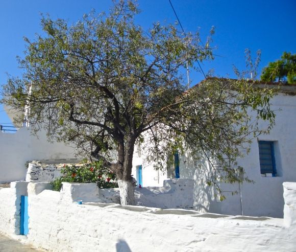 Traditional house in Panagia