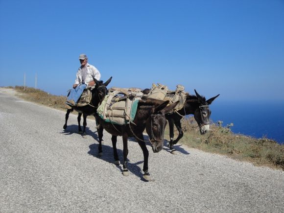 A man on a mule in Chora