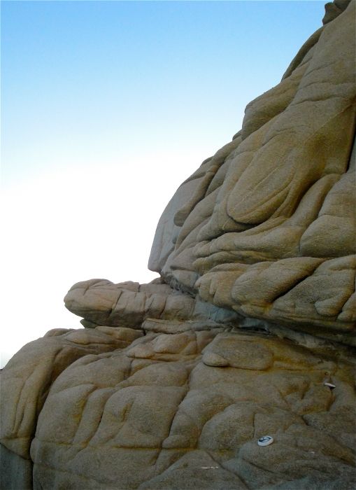 Detail of the rocks at Seychlles