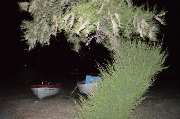 Tree and boats & silhouette of Thessaloniki at midnight..