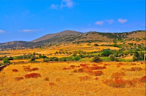 Naxos, near Dimitra\'s Temple