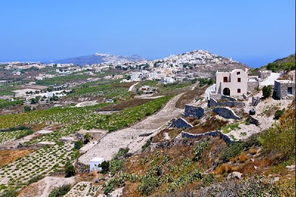 Thera - Some landscapes: The vineyards from Pyrgos