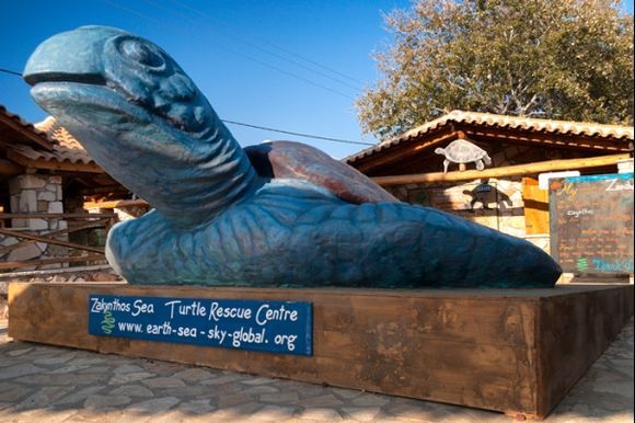 Turtle rescue centre Zakynthos