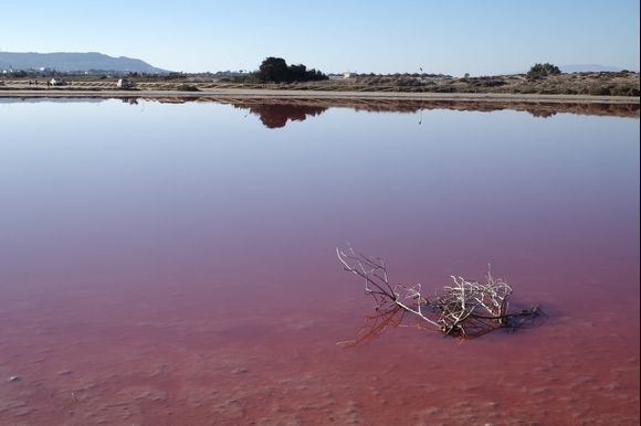 The pink lakes of Agios Prokopios 