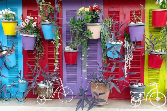 Window shutters decoration