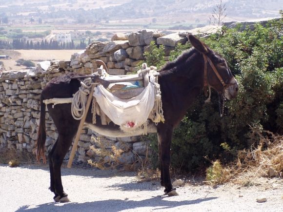 Naxos