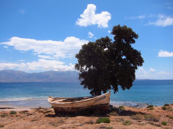 A tired fishing boat resting under the tree.