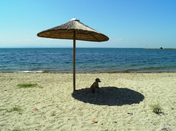 Sunny beach in Angelochori