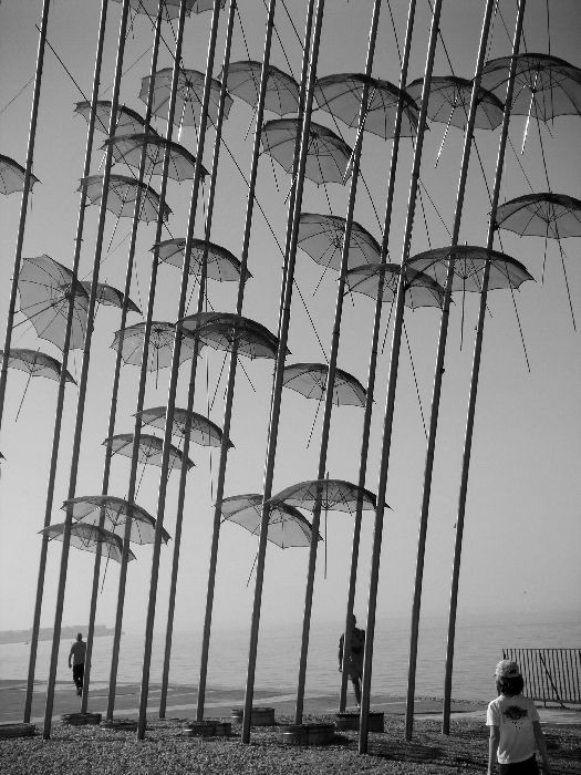 Umbrellas in black and white