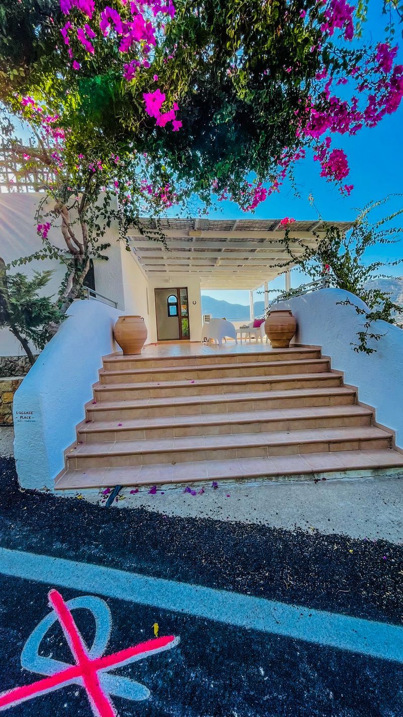 Photos of Tilos by members Page 18