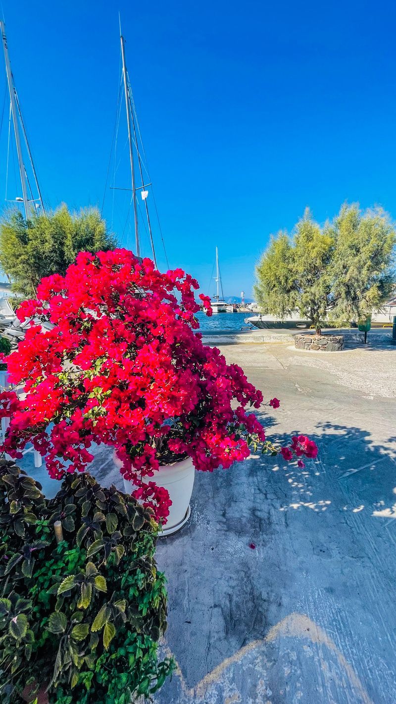 photos-of-nisyros-by-members-page-27-greeka