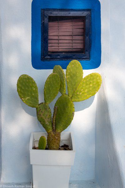 Each and every corner in Santorini is eye catching.