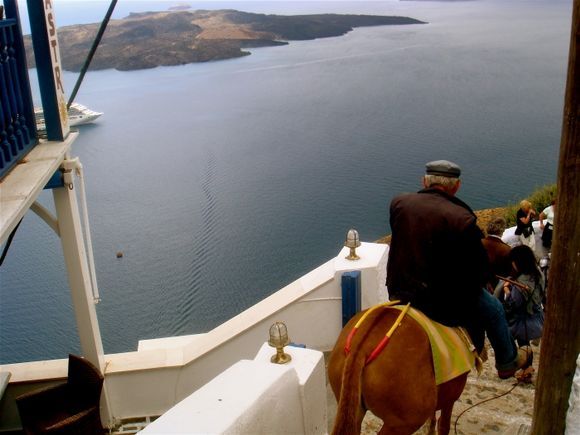 Donkey Going Down Steep Steps in Santorini