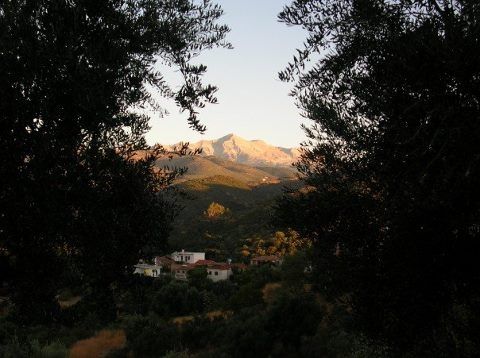 View of Petrina and Taygetos Mountains (Lakonia)