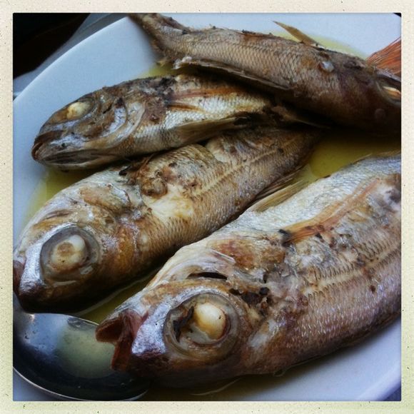 ikarian fish