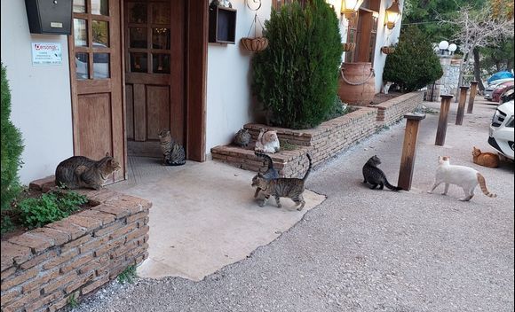 Loutraki: Supper time