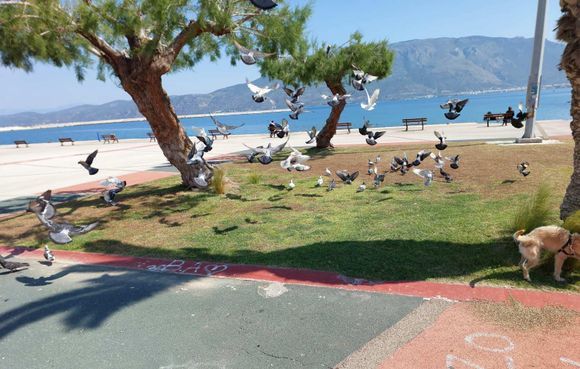 Kórinthos town seaside